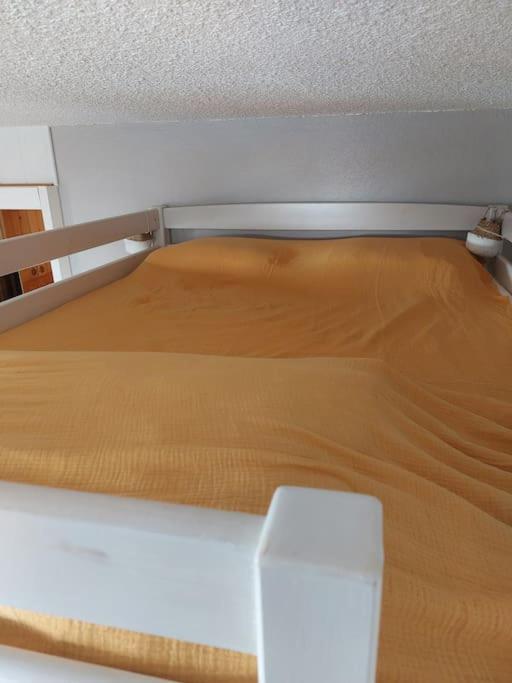 Appartement Aux Coches 6 Personnes 1 Chambre 23M2 8 Couchages 拉普拉涅 外观 照片